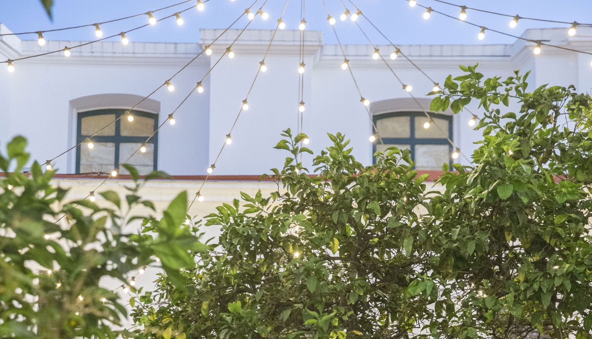 Ciclo de lectura de poesía Cicatrices