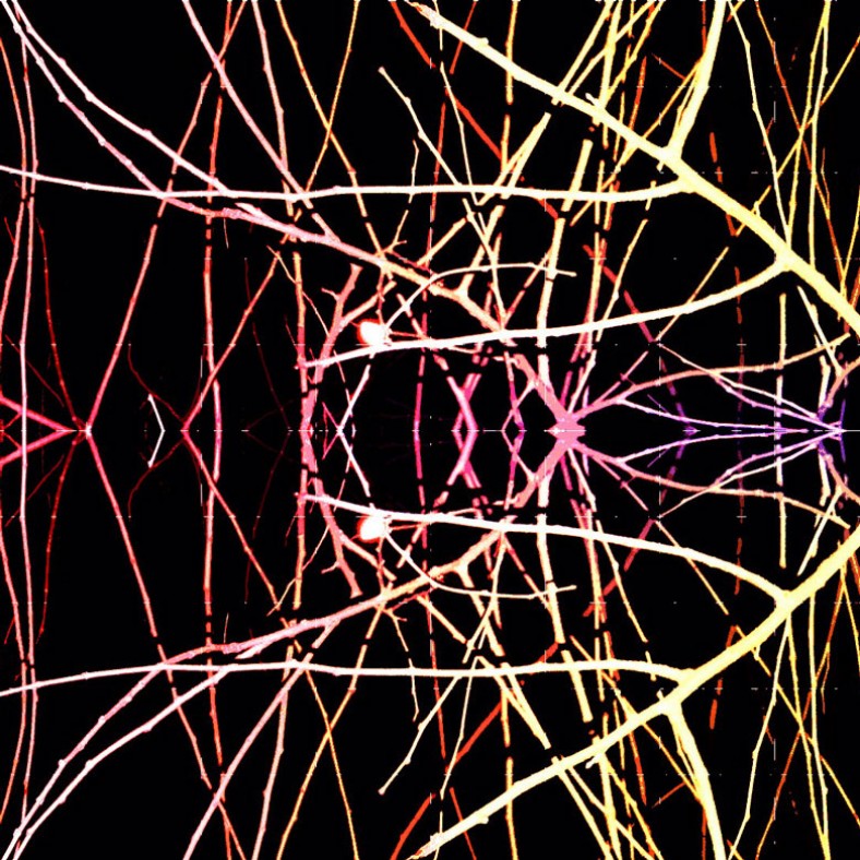 Electronia