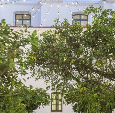 Un guión para Tinelli