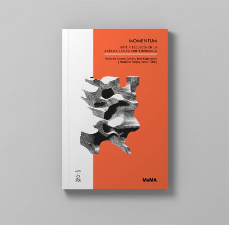 Presentación de Momentum: Arte y ecología en la América Latina contemporánea