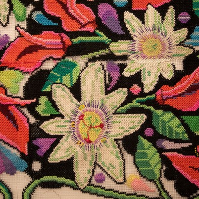 Anahí en el jardín de humo negro