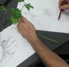 Dibujo